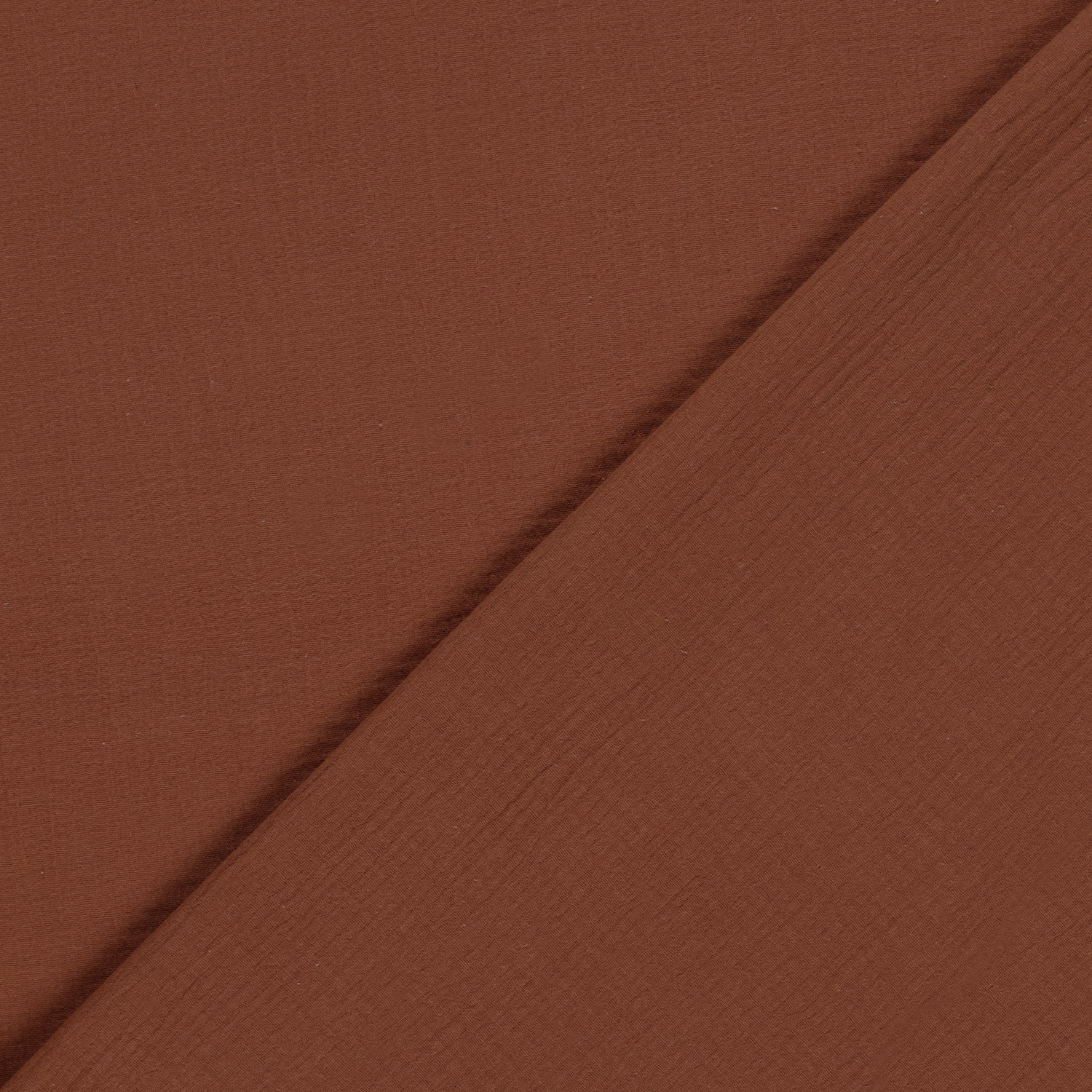 Aarde bruin tetra - Afbeelding 3