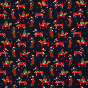 Christmas teckel Sweat